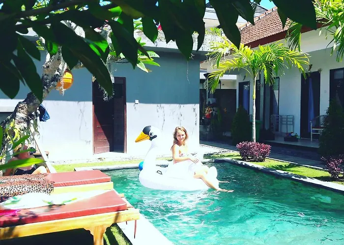 Surf Проживание в семье