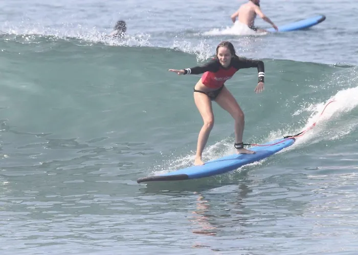 Проживание в семье Surf *